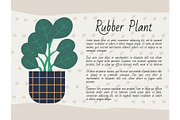Rubber Plant Poster with Text