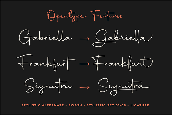 Autography - Signature Font in Script Fonts - product preview 7
