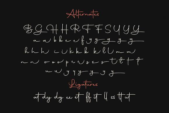 Autography - Signature Font in Script Fonts - product preview 9