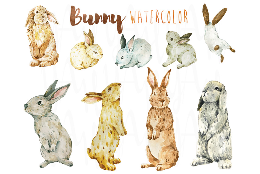Cute Bunny Watercolor Collections in Illustrations - product preview 8