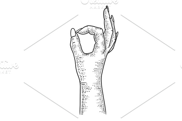 hand okay gesture sketch vector