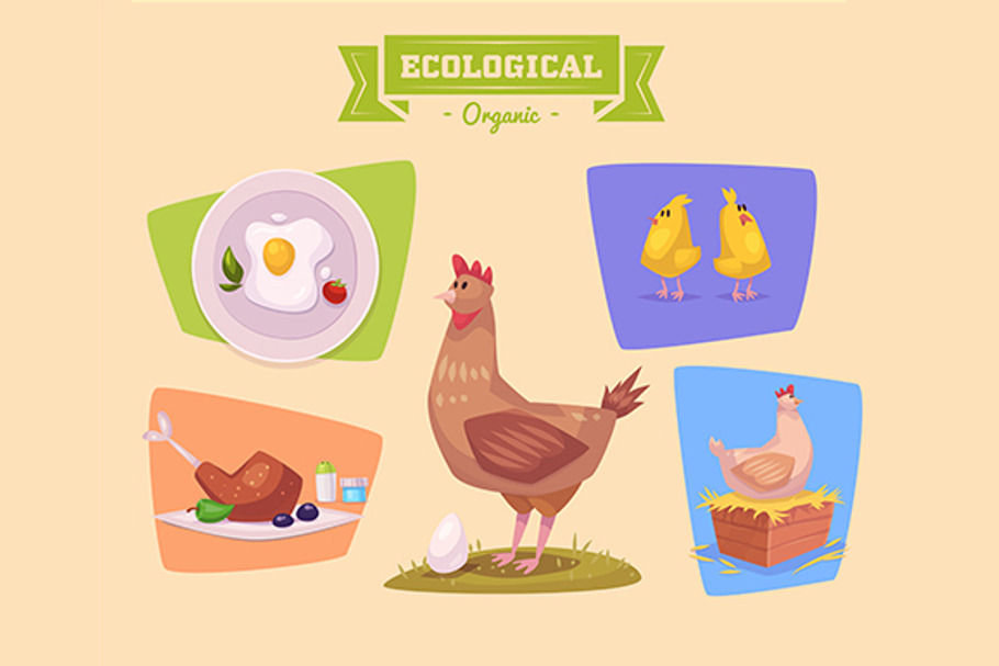Cute chiken farm animals. Vector in Illustrations - product preview 8