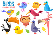 Cartoon birds illustrations. Vector