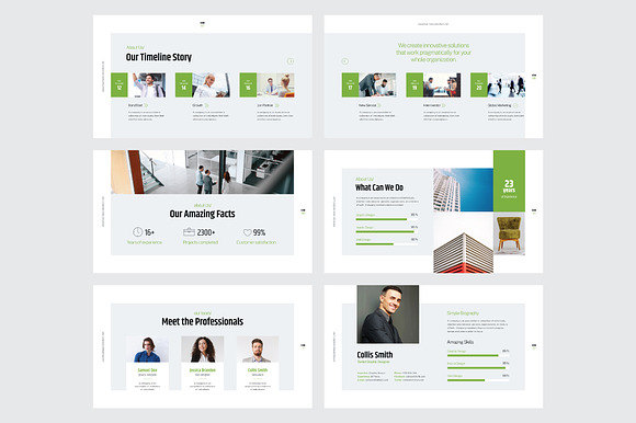 BUSINESS CONSULTANT - Powerpoint in PowerPoint Templates - product preview 2