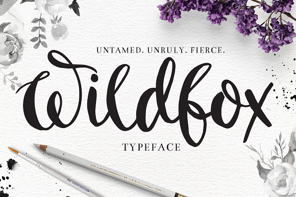 "Wildfox" Typeface-Hand drawn font in Script Fonts - product preview 4