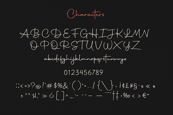 Autography - Signature Font in Script Fonts - product preview 14