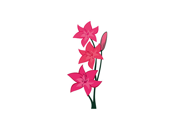 Spring  Flower Lily Vector in Illustrations - product preview 2