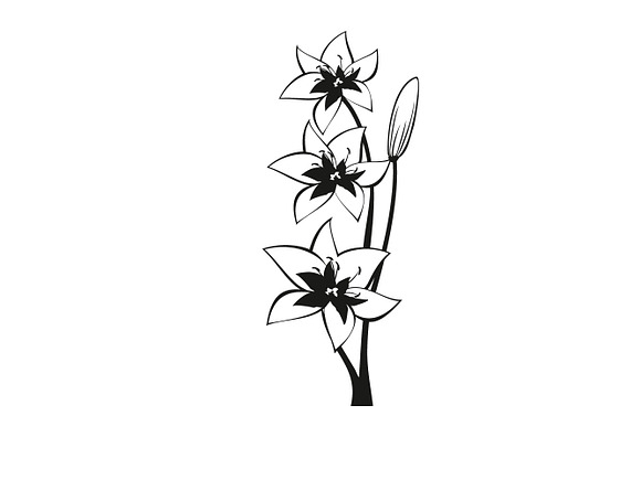 Spring  Flower Lily Vector in Illustrations - product preview 4