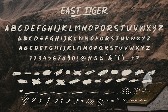 East Tiger - Authentic Brush Font in Display Fonts - product preview 4