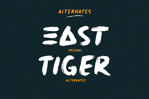 East Tiger - Authentic Brush Font in Display Fonts - product preview 8