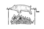 Bonfire pork sketch vector