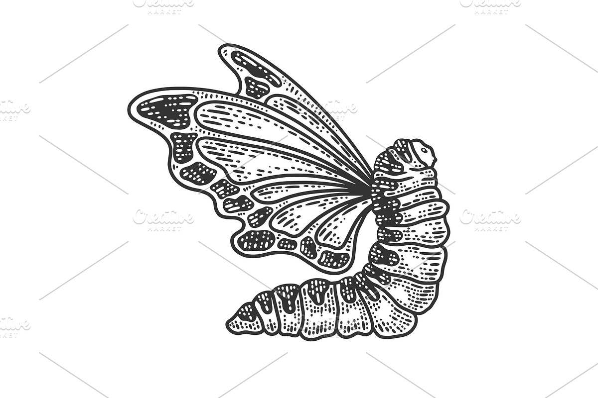Caterpillar butterfly wings sketch in Illustrations - product preview 8