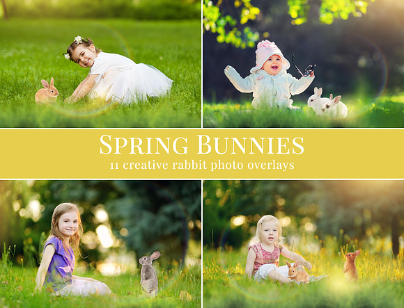 Spring Photo Overlays bundle in Add-Ons - product preview 1