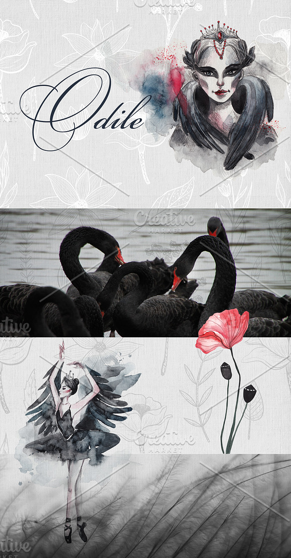 Odile. Black Swan collection in Illustrations - product preview 8