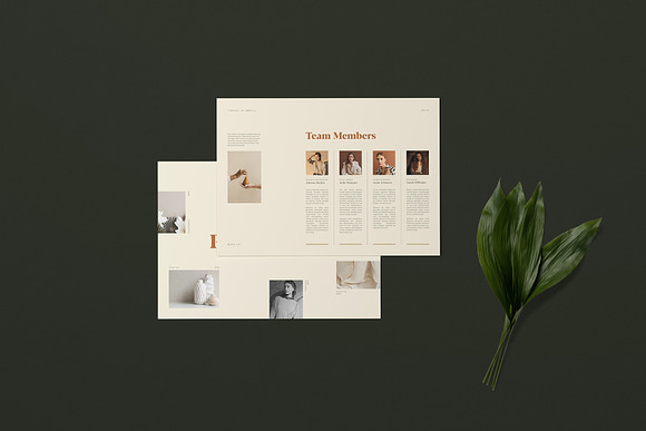 Mirabilis Media Kit in Brochure Templates - product preview 7