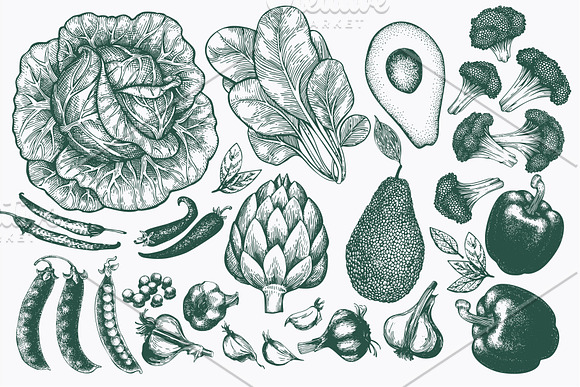 Vegetable Vector Collection in Illustrations - product preview 1