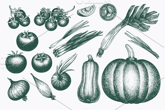 Vegetable Vector Collection in Illustrations - product preview 2
