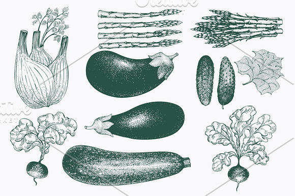 Vegetable Vector Collection in Illustrations - product preview 3