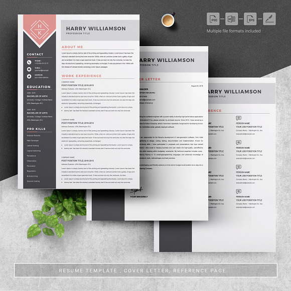 One Page Resume Template in Letter Templates - product preview 3