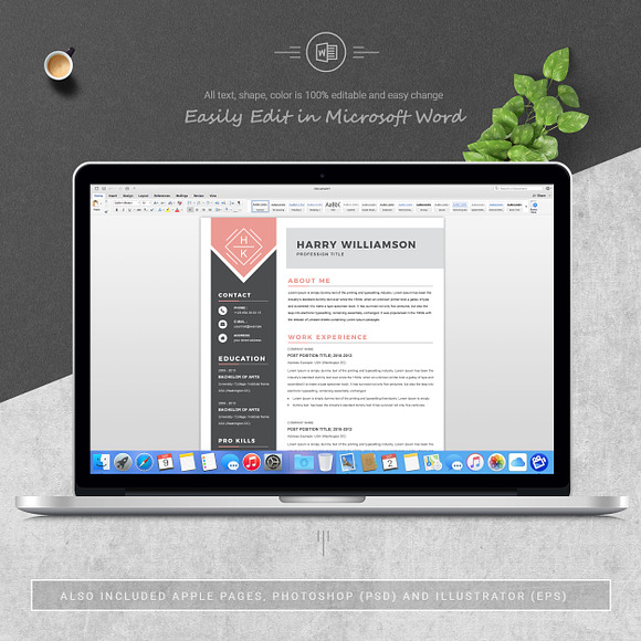 One Page Resume Template in Letter Templates - product preview 4