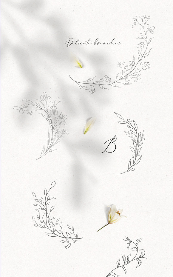 Line Drawn Floral Wreaths, Sprigs in Illustrations - product preview 3