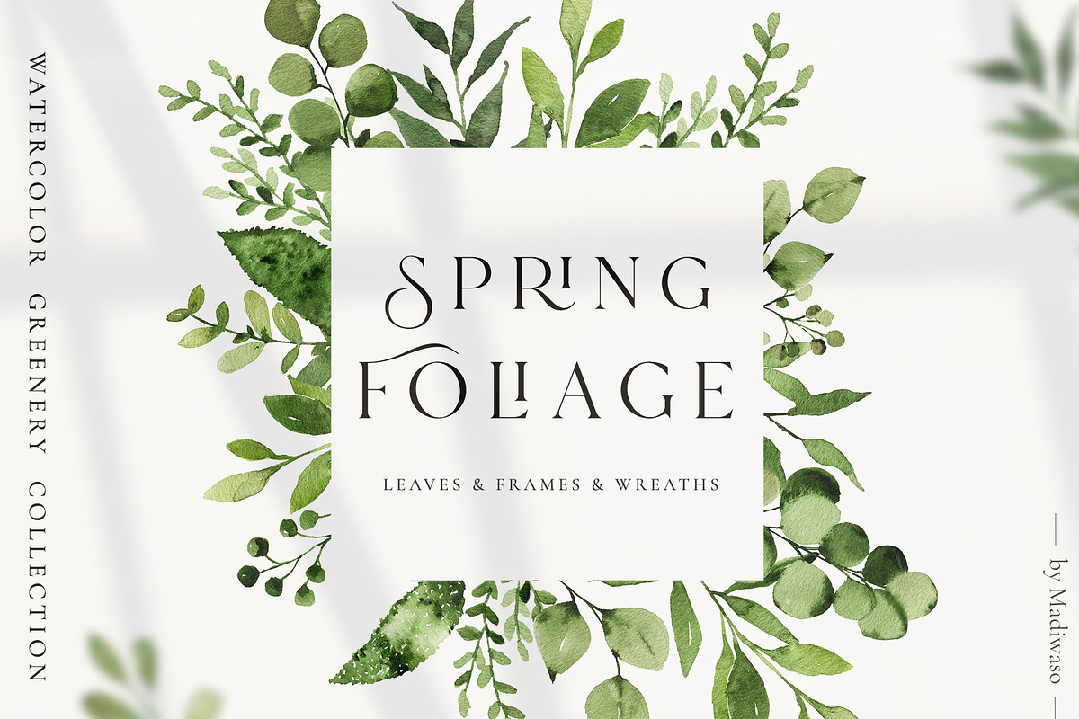 Spring Foliage greenery leaves in Illustrations - product preview 8