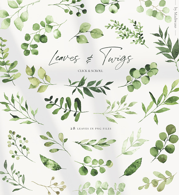 Spring Foliage greenery leaves in Illustrations - product preview 1