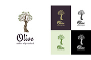Elegant olive tree isolated