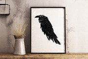 Big Black Raven.