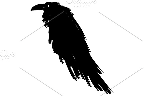 Big Black Raven. in Illustrations - product preview 2