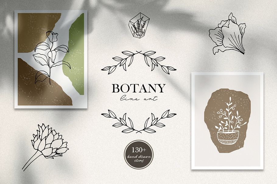 Botany line art. Vector elements