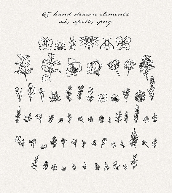 Botany line art. Vector elements in Objects - product preview 1