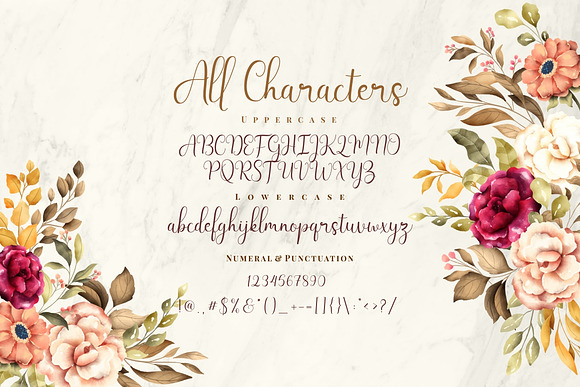 Latisha in Script Fonts - product preview 7