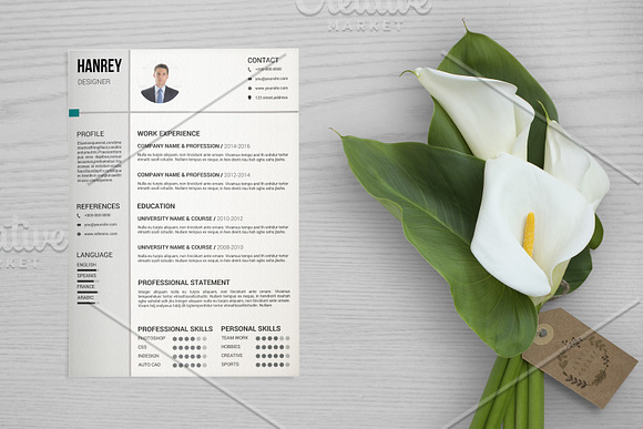 Clean Resume Bundle in Letter Templates - product preview 9