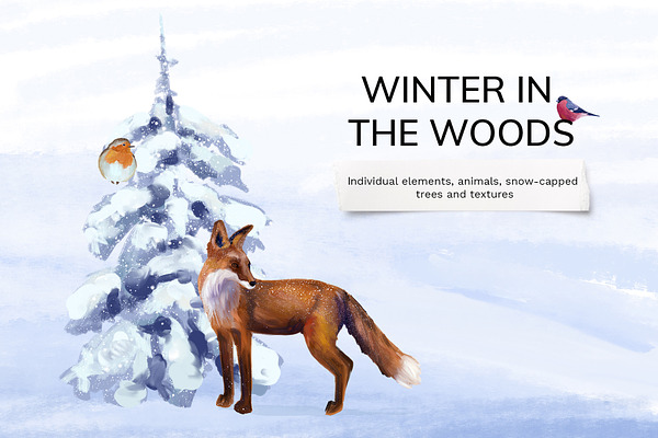 Winter woodland animals
