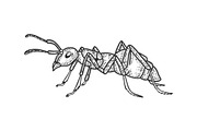 Ant insect sketch vector