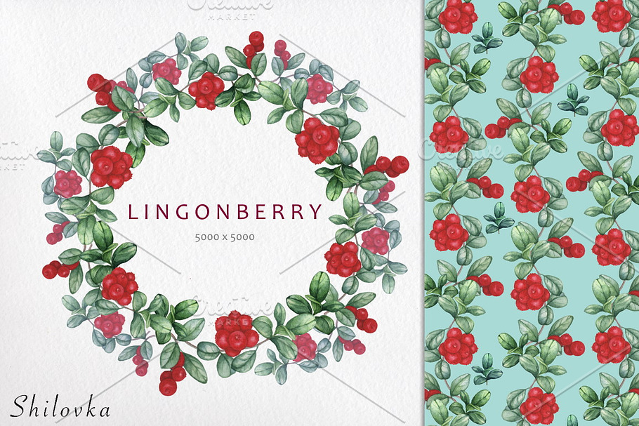 Lingonberry. Watercolor patterns