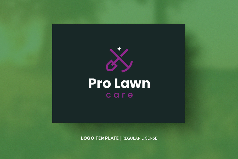 Pro Lawn Care