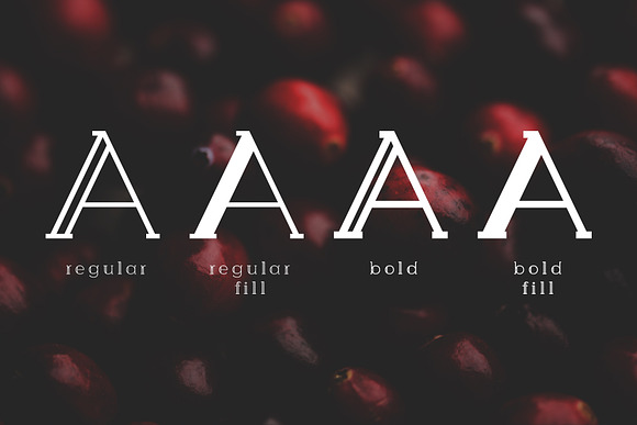 Berry Slab Serif Font in Slab Serif Fonts - product preview 1