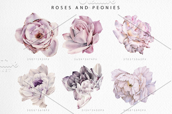 Watercolor flowers (20 PNG) in Illustrations - product preview 1