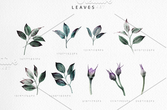 Watercolor flowers (20 PNG) in Illustrations - product preview 4