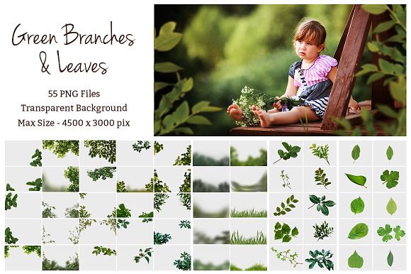 Green Branches and Leaves Overlays in Photoshop Layer Styles - product preview 2