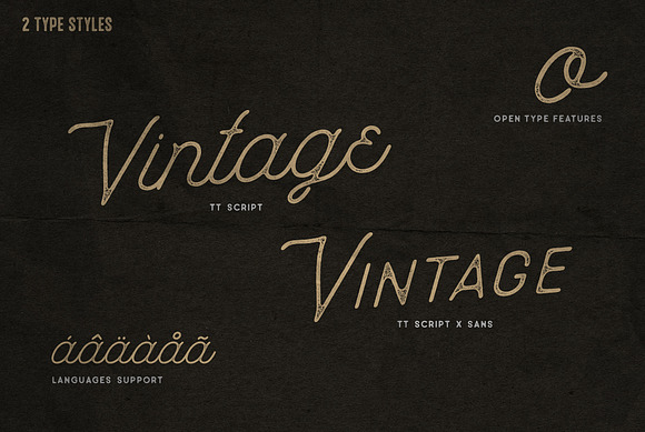 TakeTrails Script Vintage Typeface in Display Fonts - product preview 6
