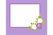 Purple Frame with White Rose Flowers
