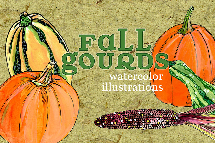 Fall Gourd Illustrations