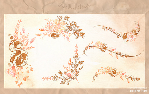 Botanical Champagne watercolor in Illustrations - product preview 5