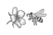 bee flies to flower sketch vector