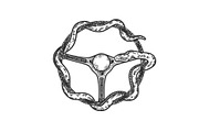 snake steering wheel sketch vector