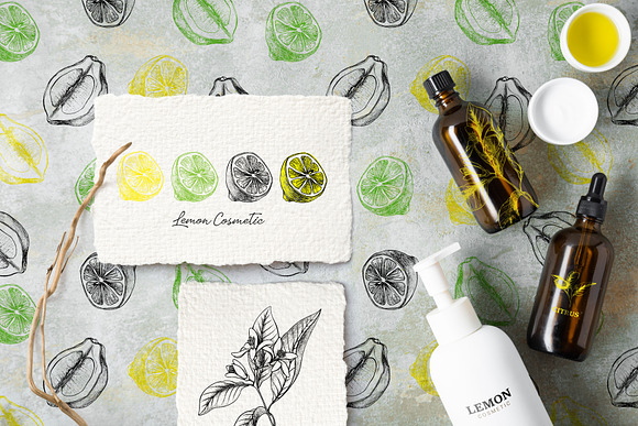 Lemon Botanical vector illustrations in Illustrations - product preview 3