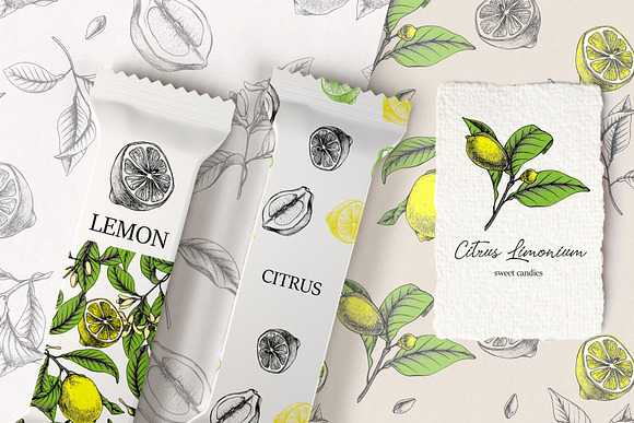 Lemon Botanical vector illustrations in Illustrations - product preview 5